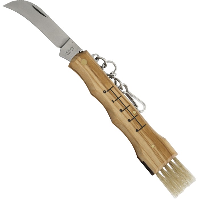 Mercury mushroom knife with olive wood handle